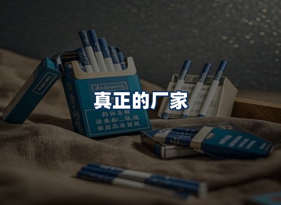 专业团队办公环境
